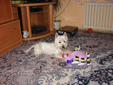 Max a jeho vianočná hračka